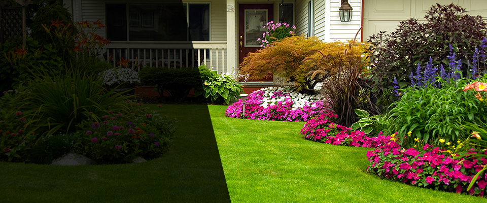 Ellijay Landscapers