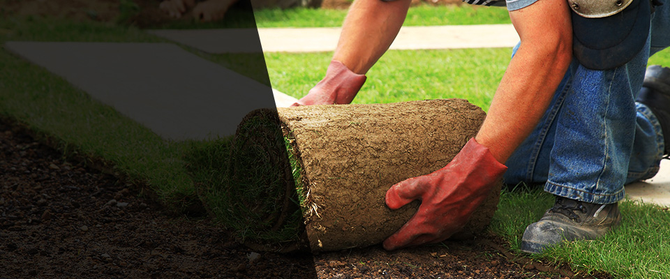 Ellijay Landscapers
